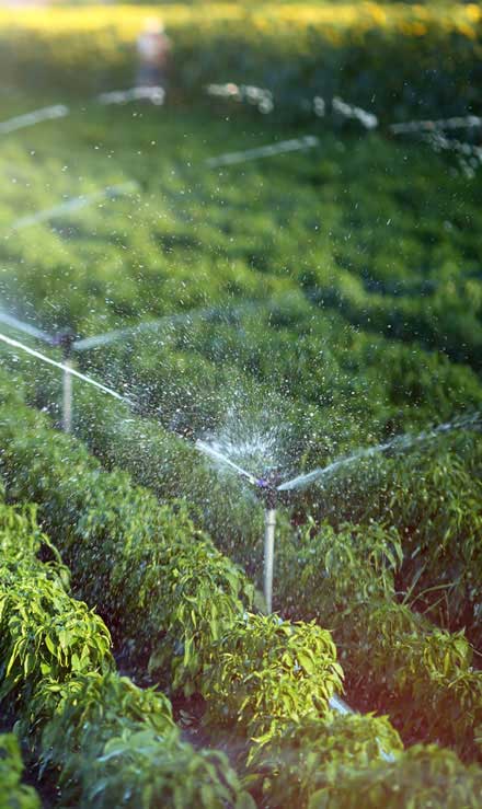 Accurate Outdoor LLC Irrigation System Repair
