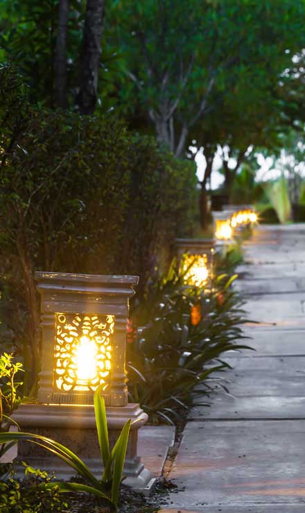 Accurate Outdoor LLC Residential Landscape Lighting
