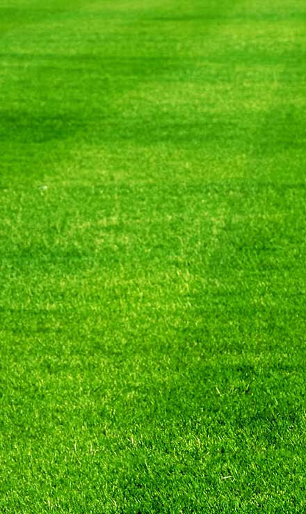 Accurate Outdoor LLC Aeration