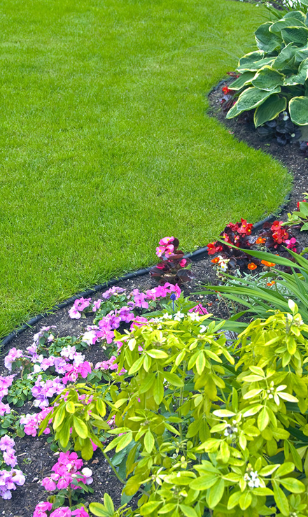 Accurate Outdoor LLC Landscaping