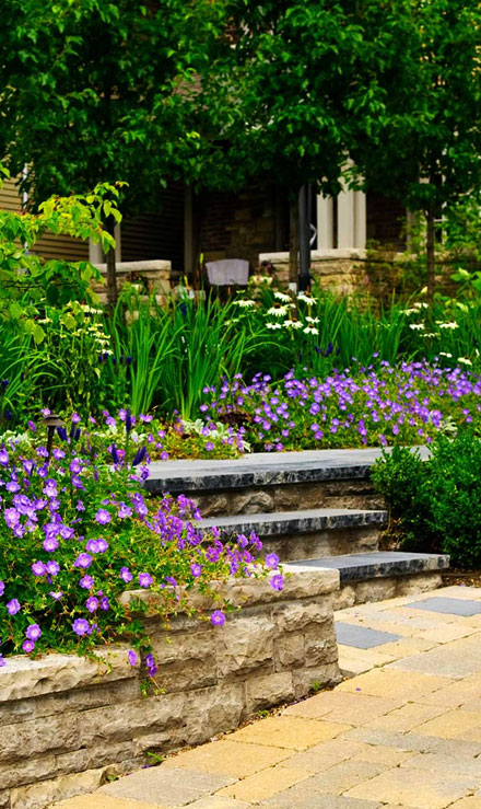 Accurate Outdoor LLC Landscaping Company