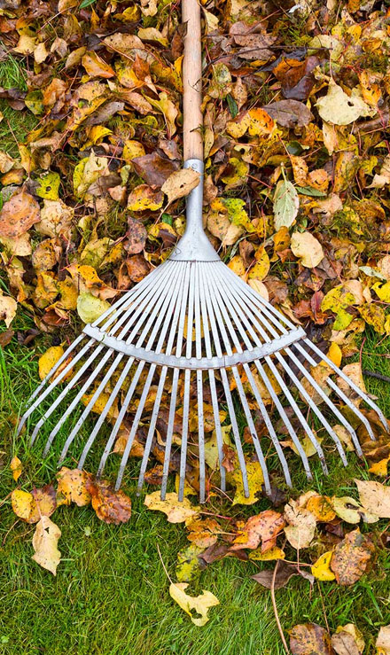 Accurate Outdoor LLC Commercial Grounds Maintenance
