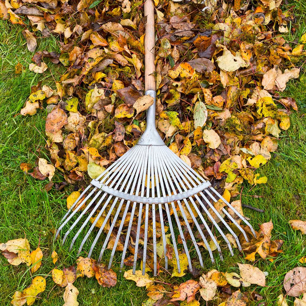 Commercial Grounds Maintenance Service